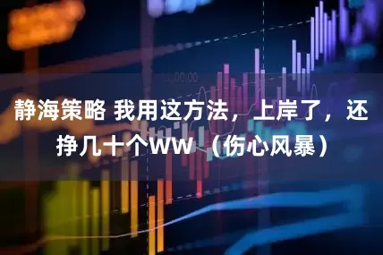 静海策略 我用这方法，上岸了，还挣几十个WW （伤心风暴）