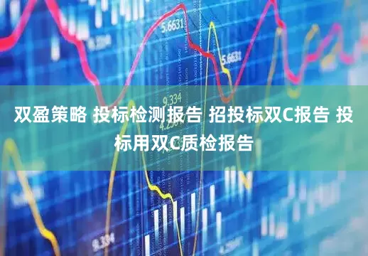 双盈策略 投标检测报告 招投标双C报告 投标用双C质检报告