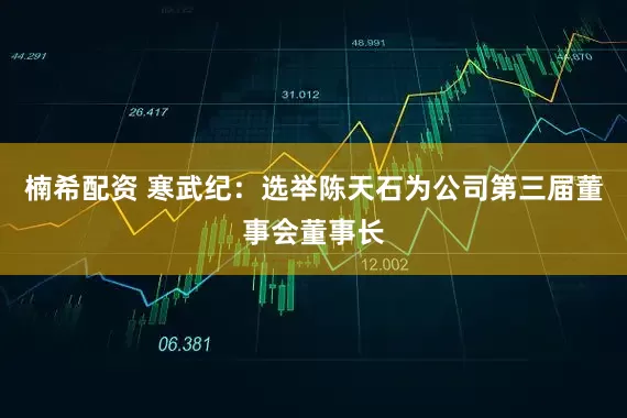 楠希配资 寒武纪：选举陈天石为公司第三届董事会董事长